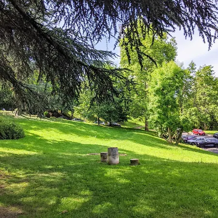 T1 Au Coeur D'un Parc Classe A Saint-etienne