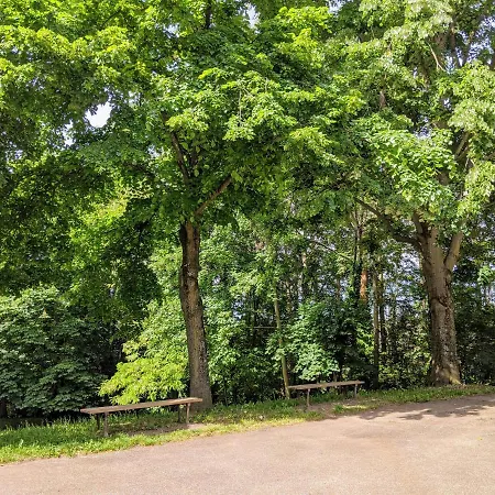 T1 Au Coeur D'un Parc Classe A Saint-etienne *